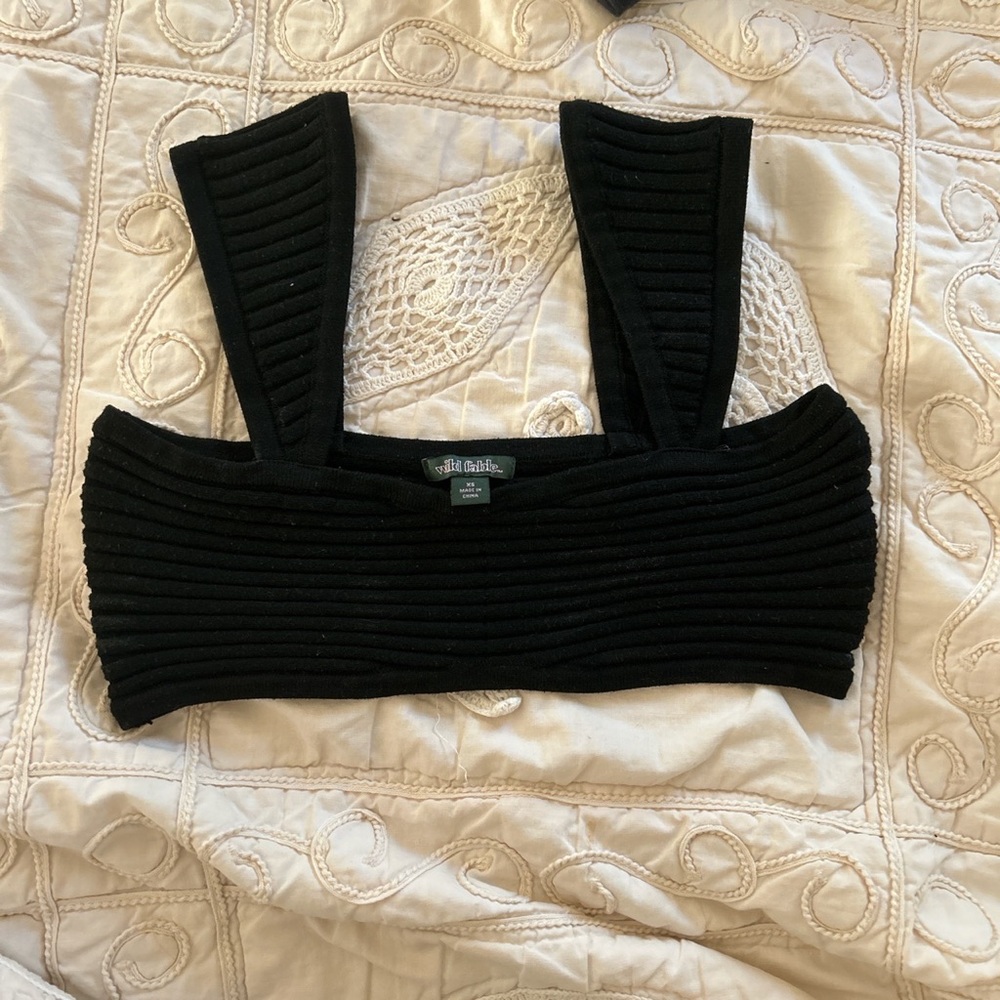 Wild fable crop top